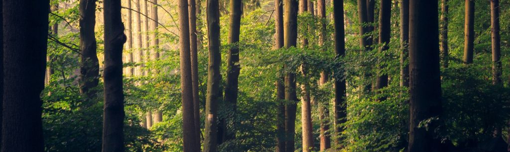 footer cta 1024x306.jpg